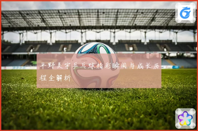 平野美宇乒乓球精彩瞬间与成长历程全解析