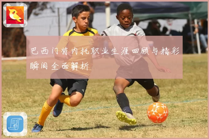 巴西门将内托职业生涯回顾与精彩瞬间全面解析