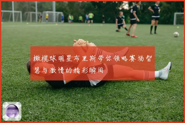 橄榄球明星布里斯带你领略赛场智慧与激情的精彩瞬间