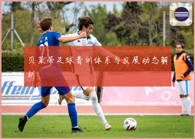 贝莱蒂足球青训体系与发展动态解析